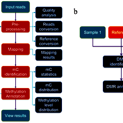 Flowchart of data analysis.