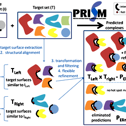 The PRISM algorithm flow.