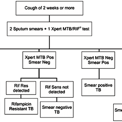 Diagnostic Algorithm.