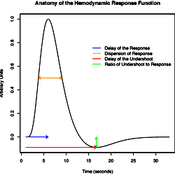 Anatomy of the HRF