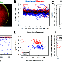 Internal validation of the spatial algorithm using automatically ...