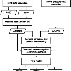 Flow chart of data collection and analysis.