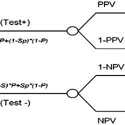 Decision tree for calculating the effectiveness of diagnostic test.