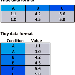 The wide versus tidy data format.