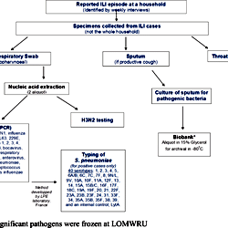 Flow chart of specimen collection and laboratory testing.