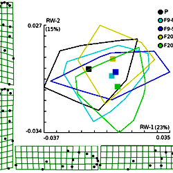 Scatterplot of the scores along the first two principal components ...