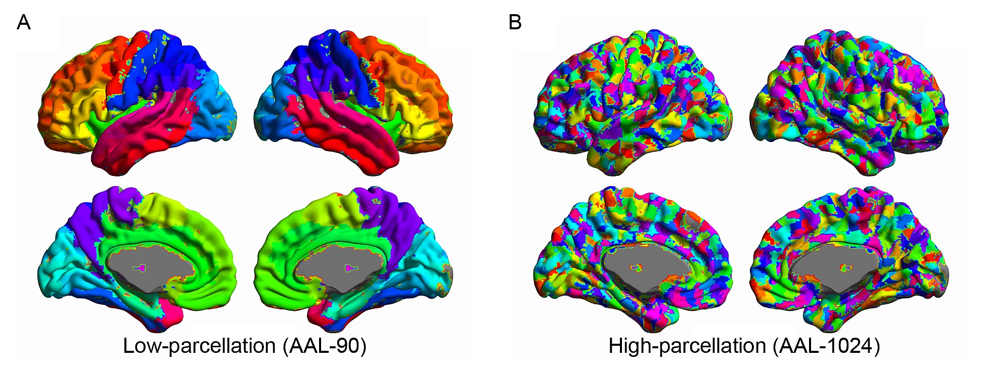 The Neuropsychology of Degenerative Brain Diseases