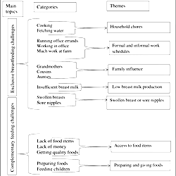 Description of coding tree showing themes.