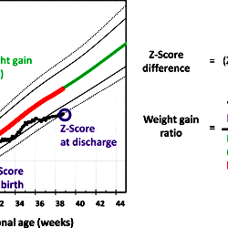 Z-score differences based on cross-sectional growth charts do not ...