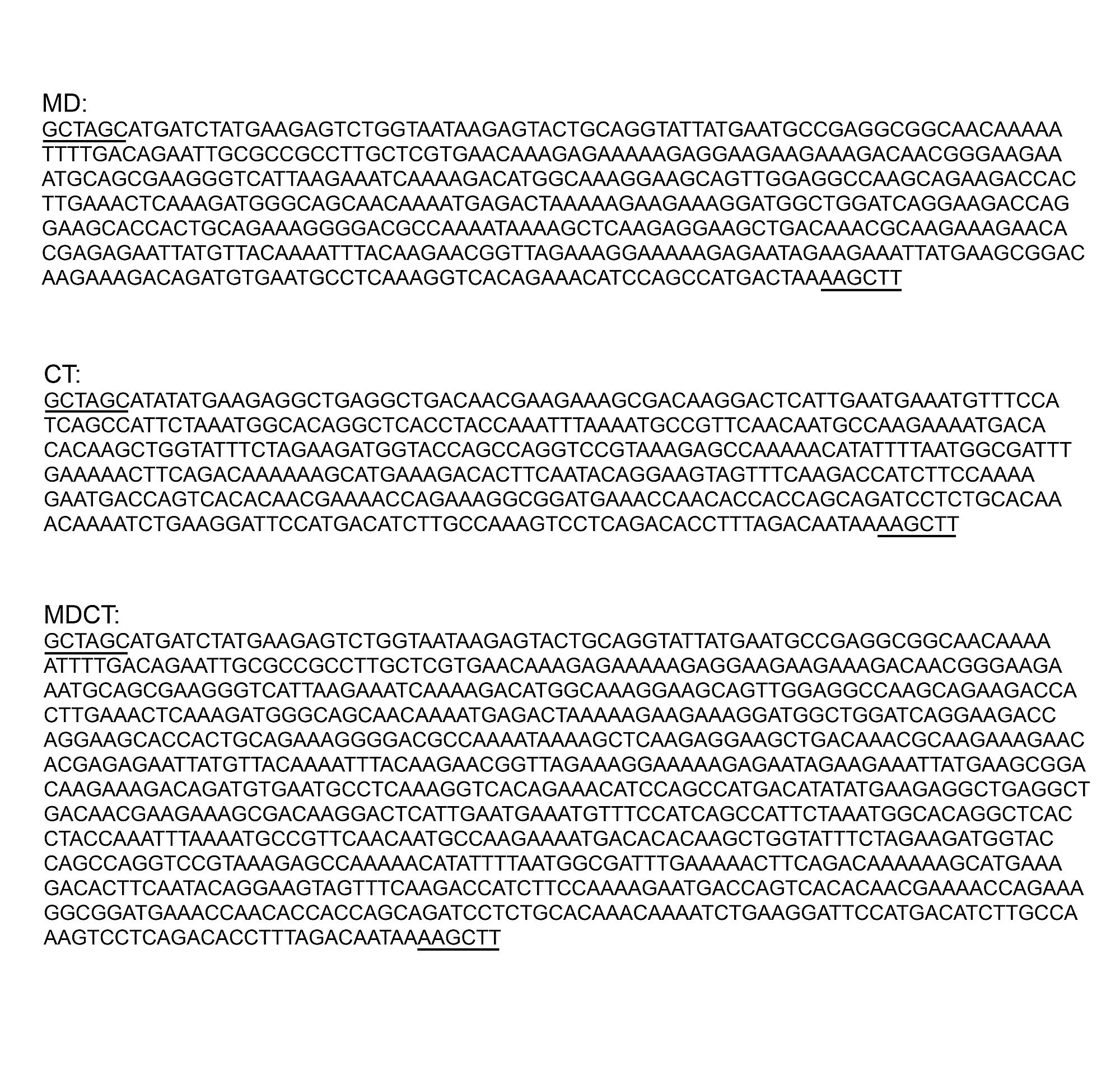 Belonging creative writing ideas image