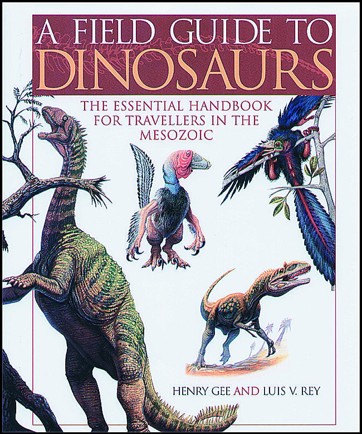 ヨヘン・レンペルト FIELD GUIDE Amazon.co.jp: JOCHEN LEMPERT FIELD GUIDE : ヨヘン レンペルト