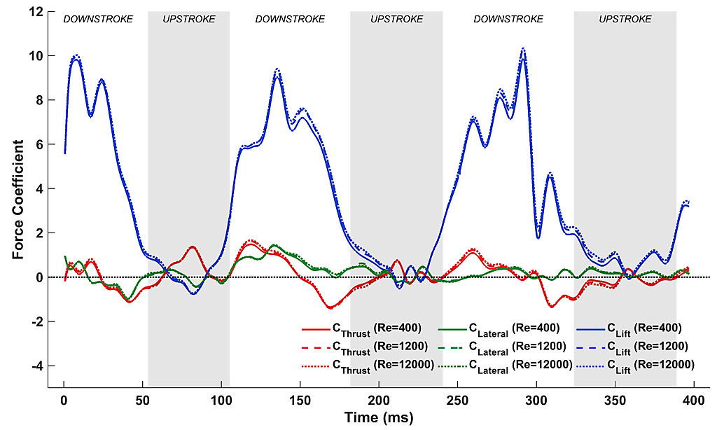 Canonical Description Of Wing Kinematics And Dynamics For A - 