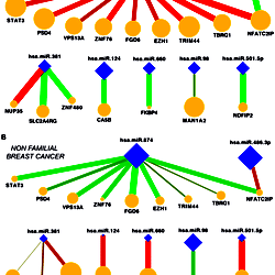 Illustration Of Network Signatures Illustration Of Network Signatures