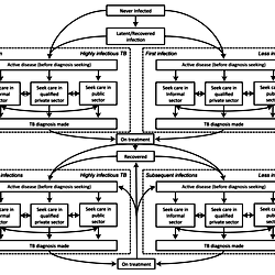 Model schematic.