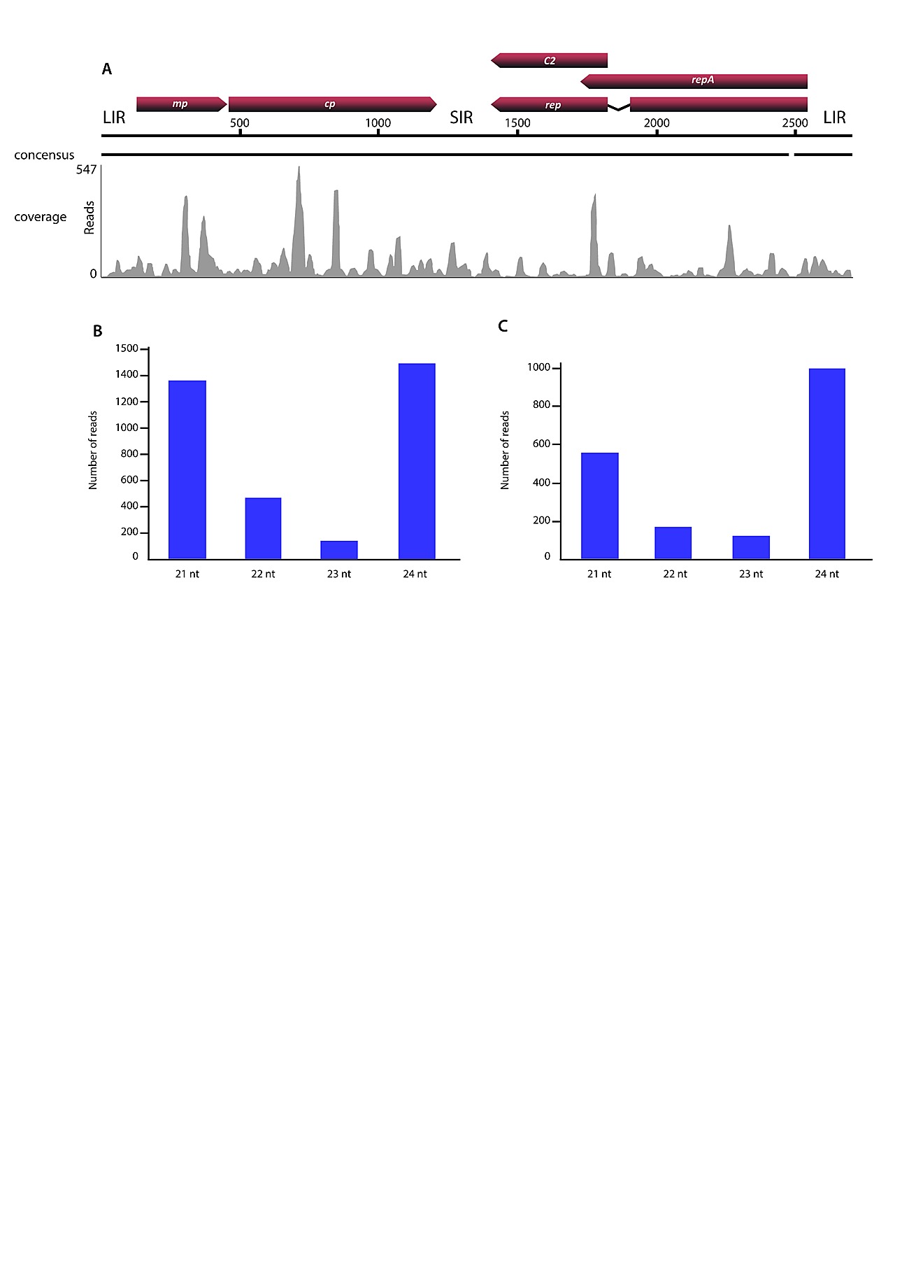 PCR - reveals even hidden infections PCR - reveals even hidden infections