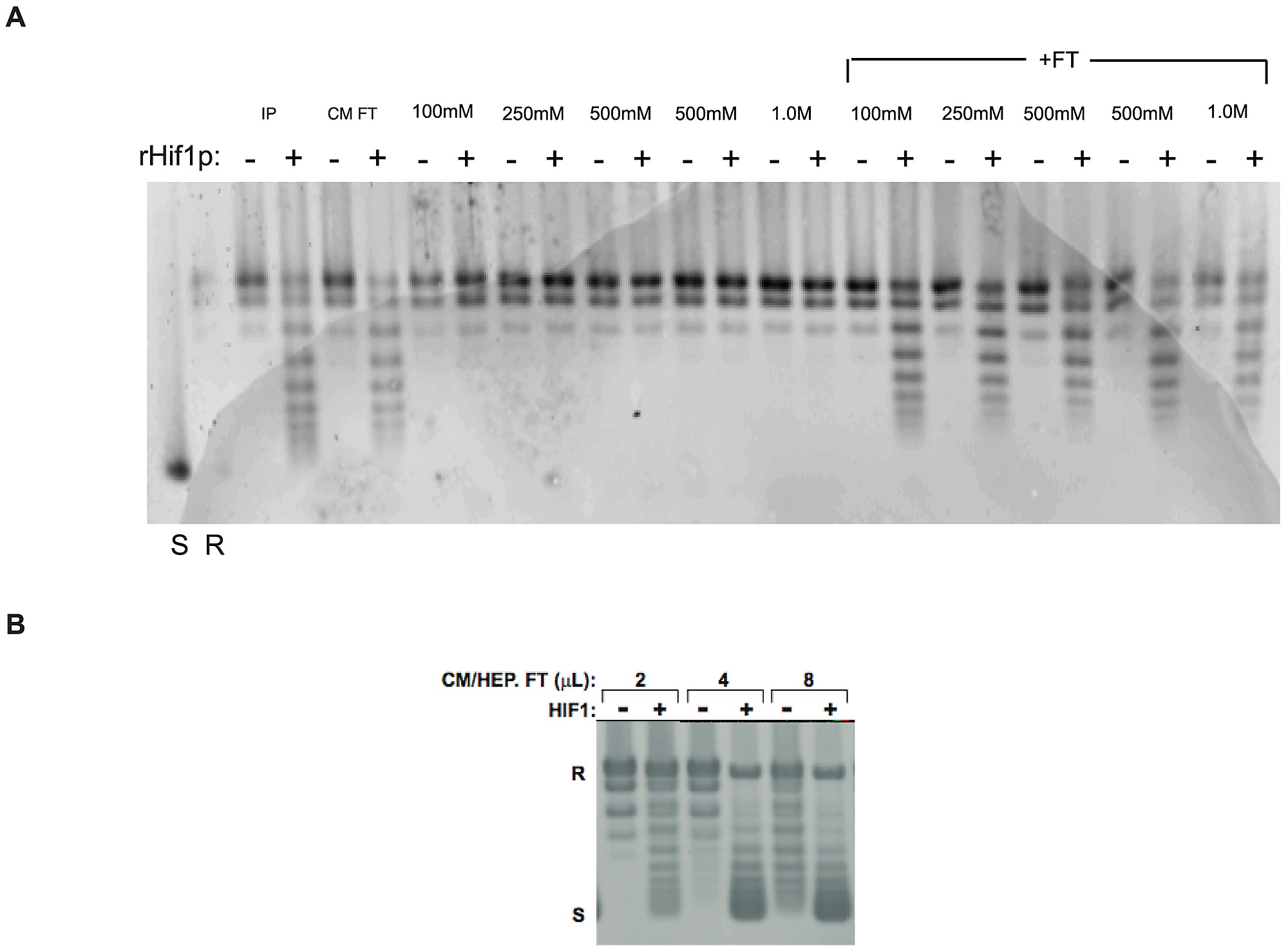 Further Fractionation Of The Chromatin Assembly Activity