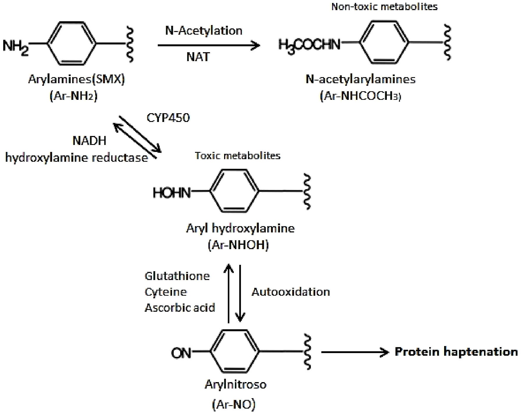 glutathione wash What Is Glutathione? — Purifi IV main image 0