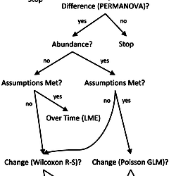 Statistical analysis decision tree.