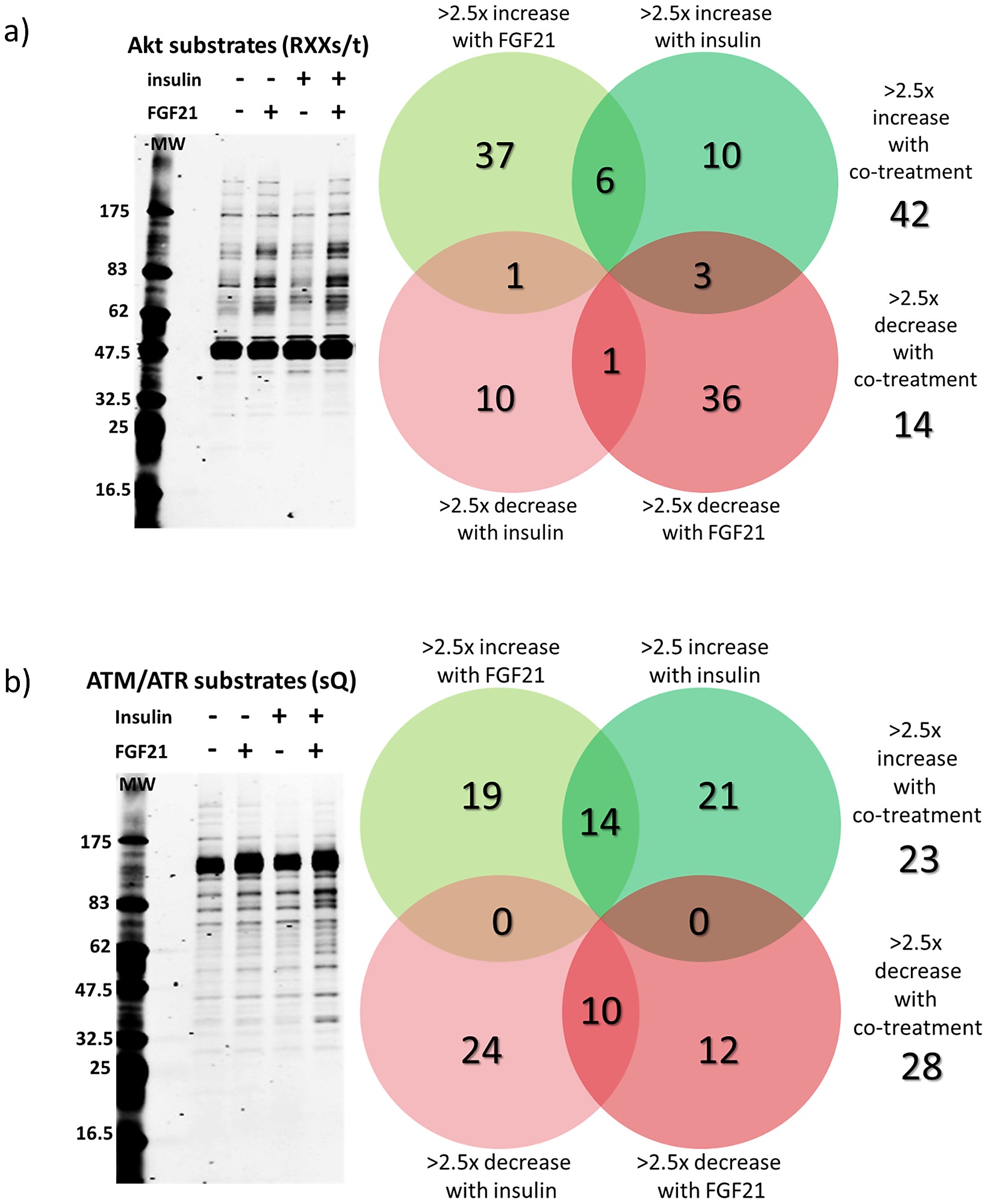 public library of science research repository figshare
