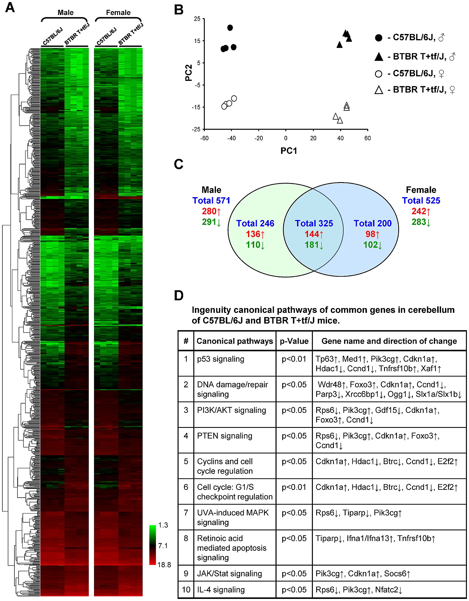 microarray analysis