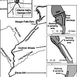 Map of the upper Chattahoochee - Thumb 
