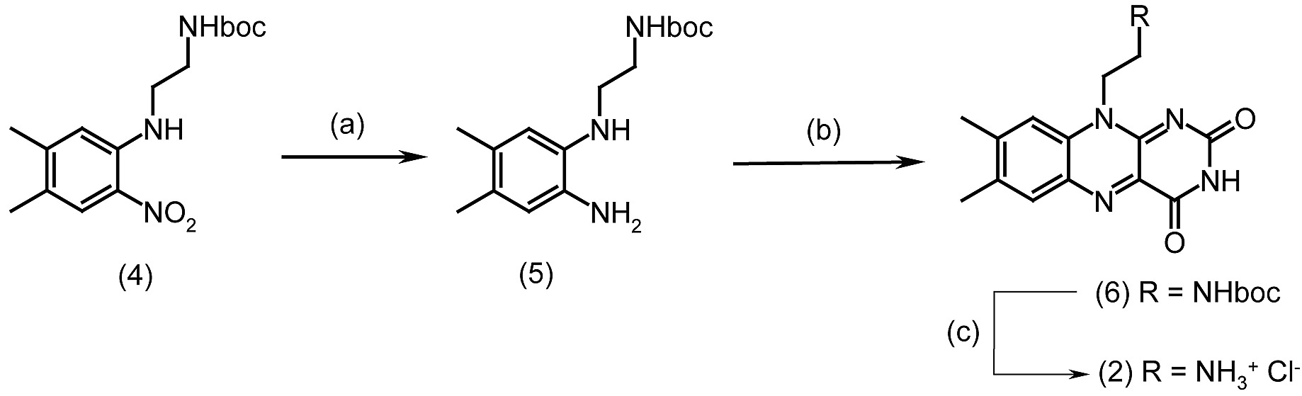 fast and effective photodynamic inactivation of multiresistant