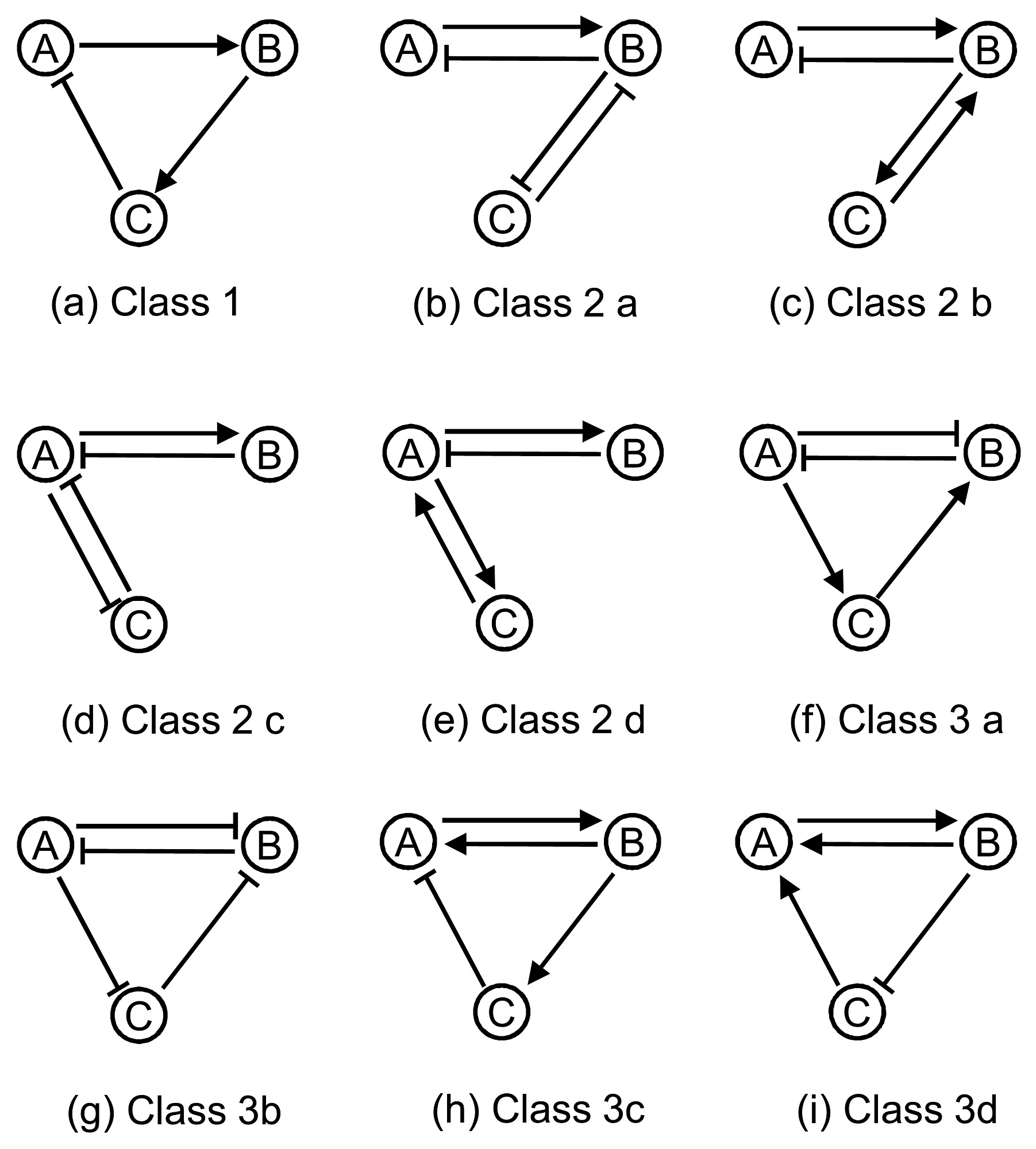 Robust Definition In Computer Science