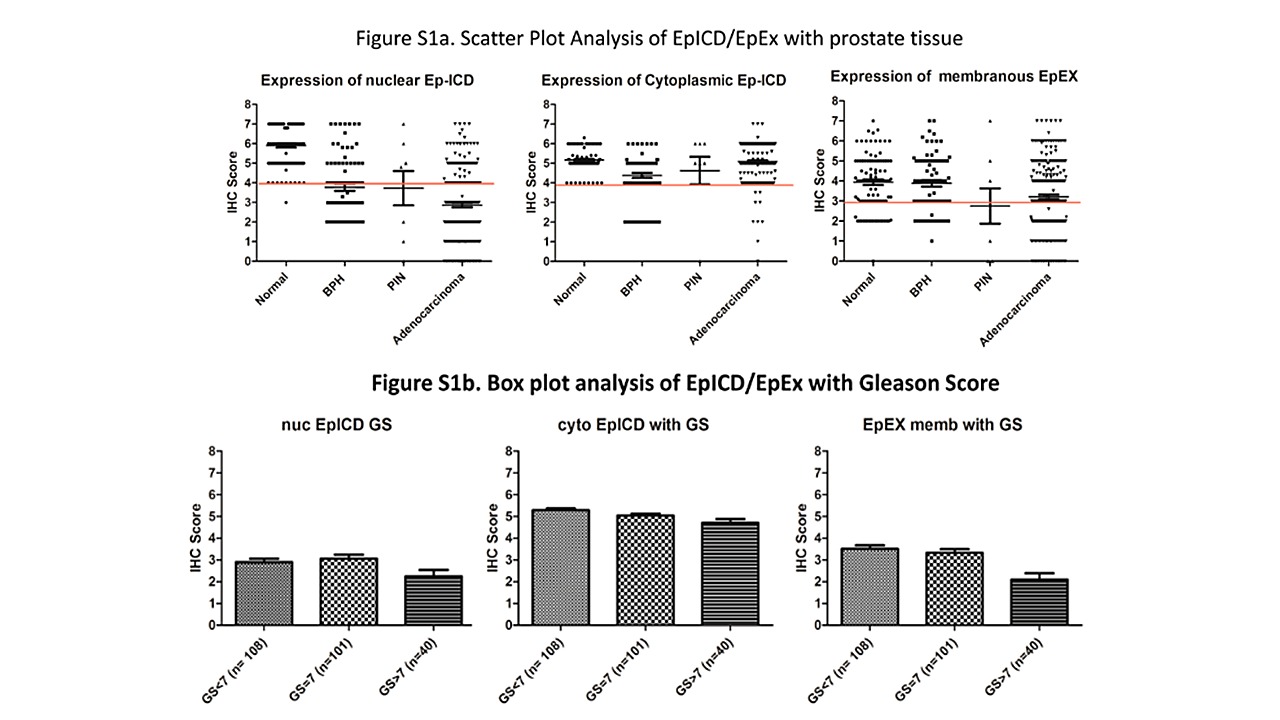 prostate malignancy icd 10