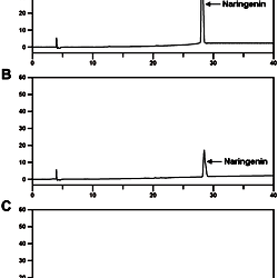 Enzyme activity of freesia (Freesia hybrida) chalcone synthase (FhCHS1). 