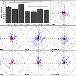 MSC migration speed and spatial trajectory.