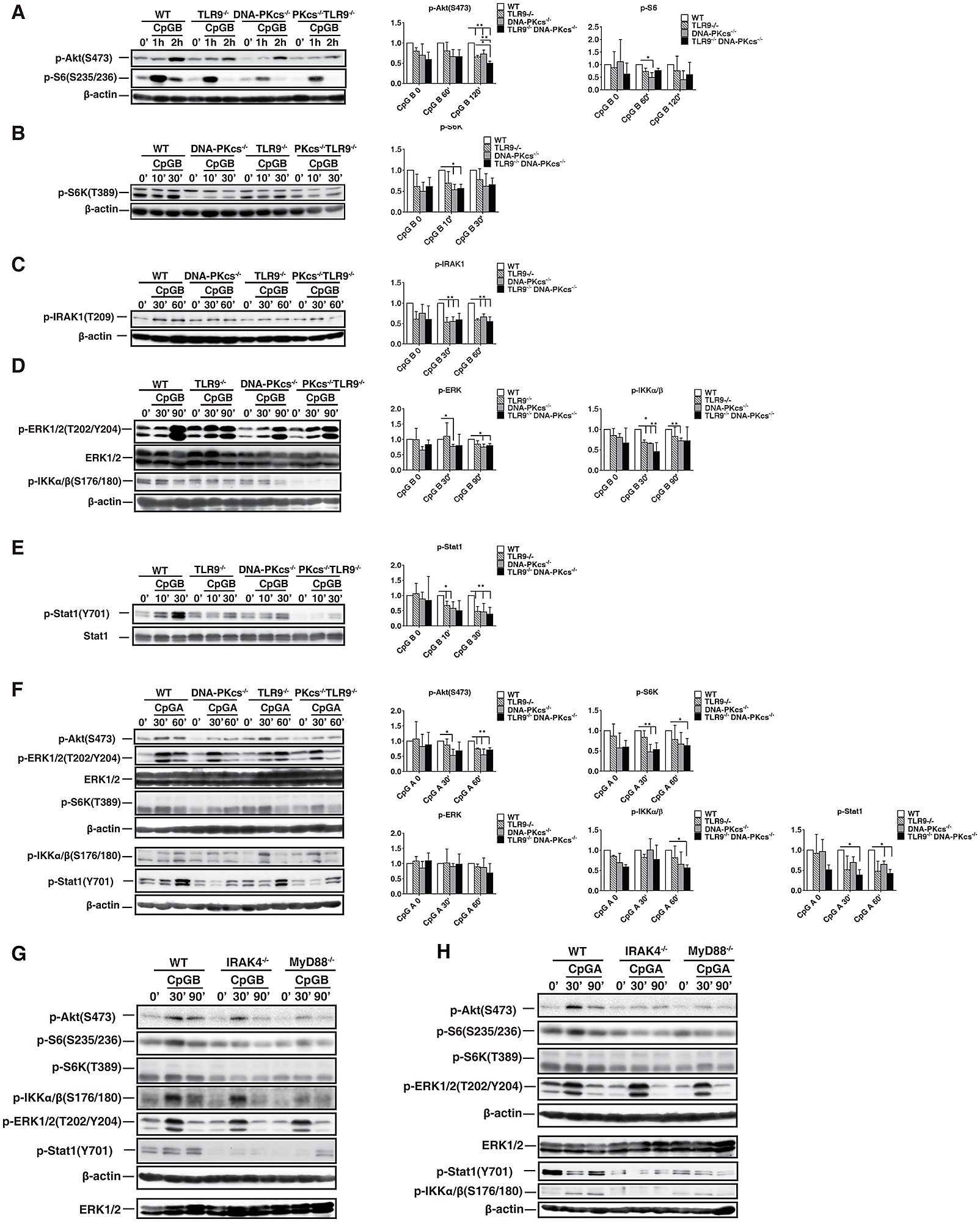 figshare