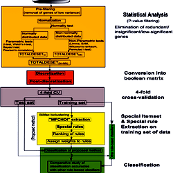 Flowchart of the proposed methodology (StatBicRM) for the classification.