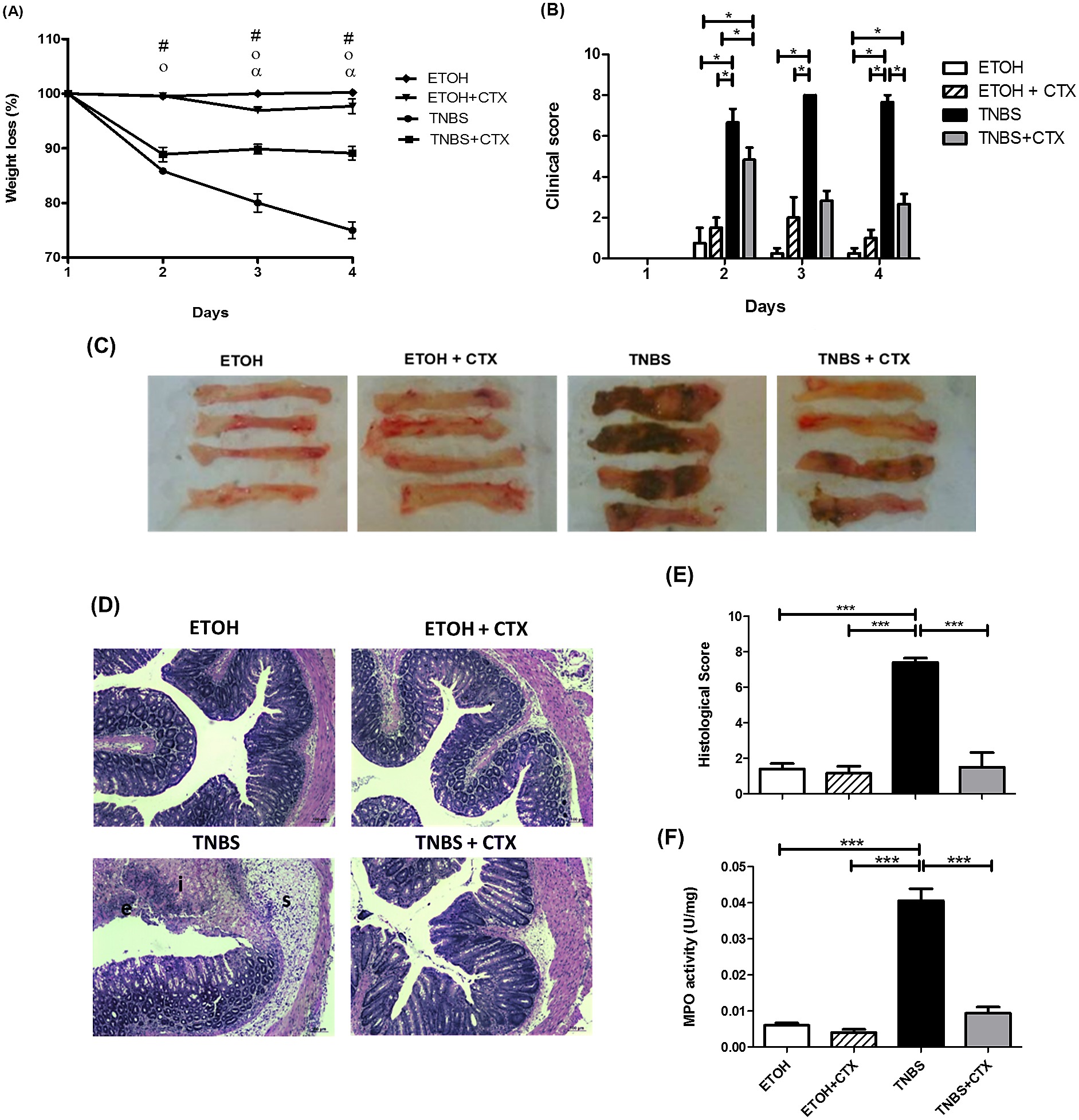 Entasis 1996–2015 vol. 2 Item - Effect of CTX treatment on the colitis induced by TNBS