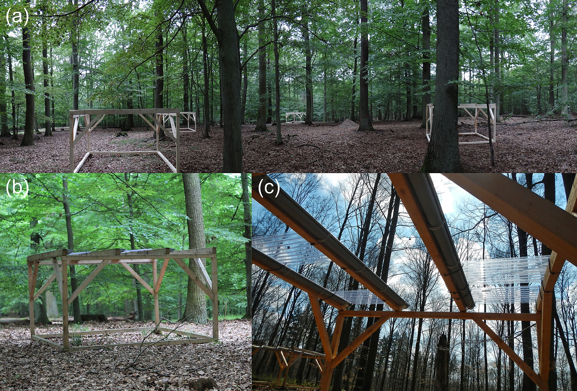 Soil Bacterial Community Structure Responses To - 