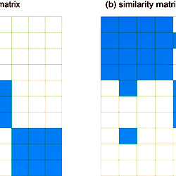 The examples of similarity matrices.