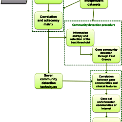 Flowchart of the methodology.