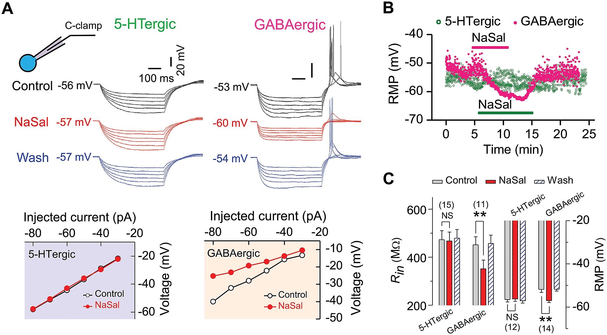 Sodium Salicylate Nasal Hyperpolarized The Resting Membrane Potential Rmp And Reduced The Input Resistance Rin In Gabaergic But Not In 5 Htergic Neurons Of Rat Drn