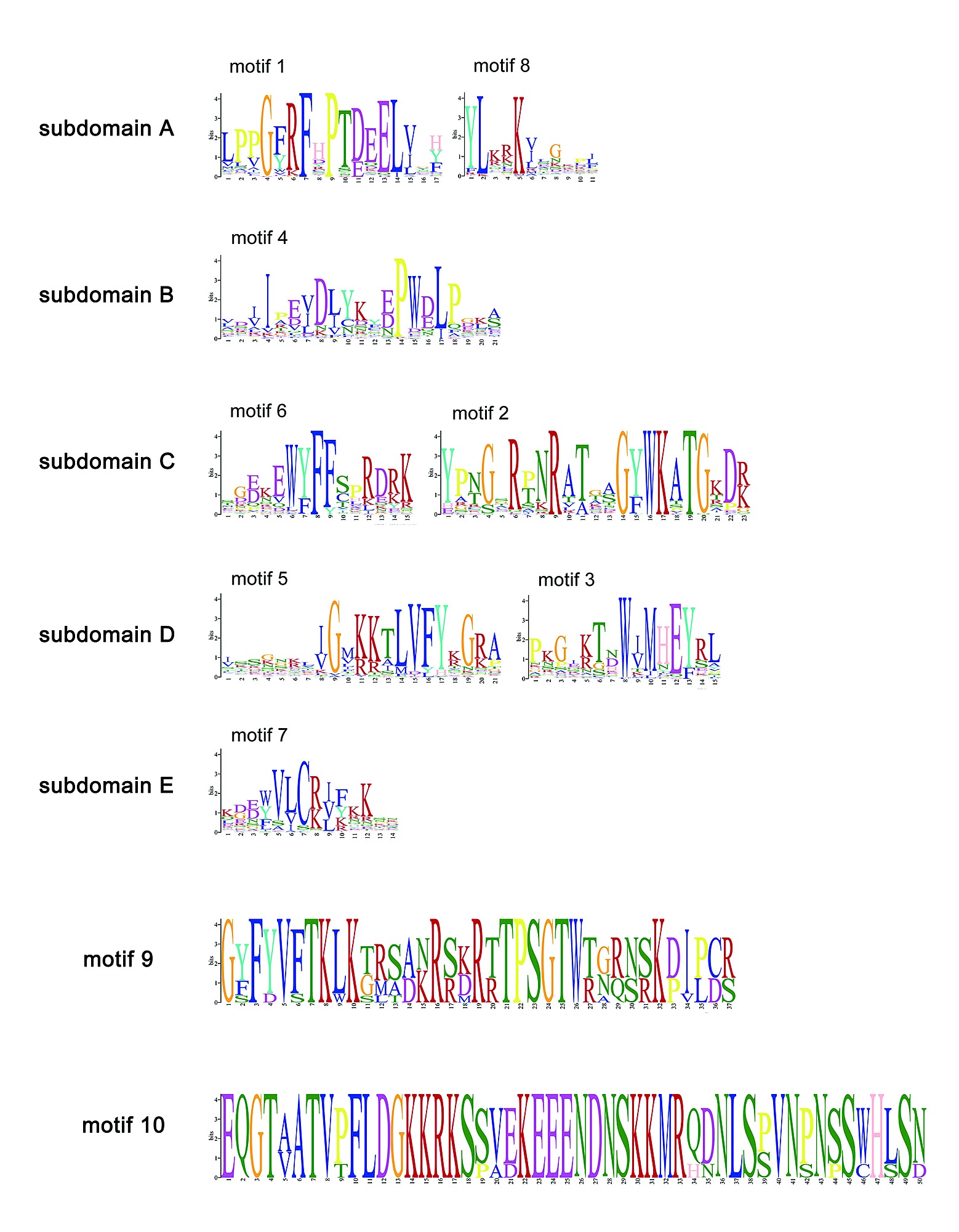 genome-wide analysis of the