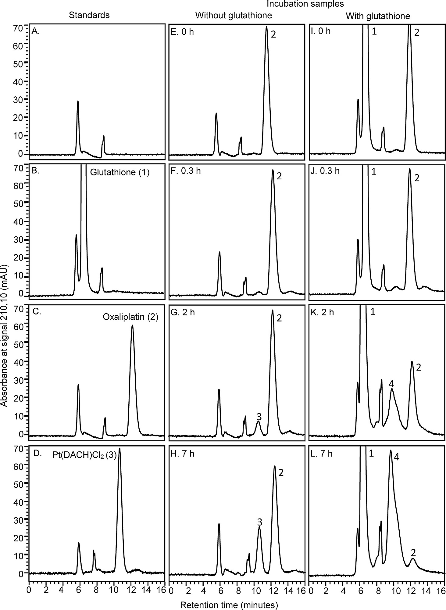 glutathione buffer Glutathione - an overview main image 0