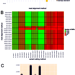 Evaluation of read alignment and variant calling methods.
