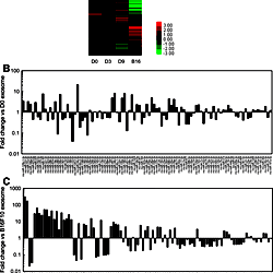 miRNA expression in exosomes.