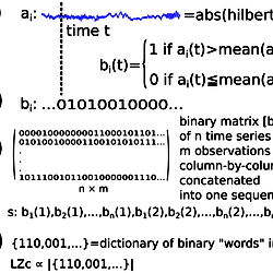 Schematic of the computation of Lempel-Ziv complexity LZc.