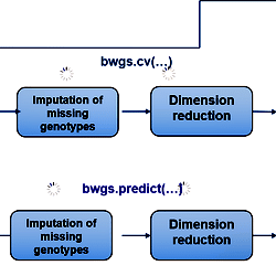 Workflow of the two main functions of BWGS.
