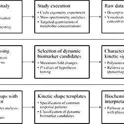 Data analysis workflow.