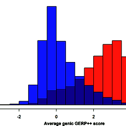 Overlaid histograms of ncGERP (blue) and pcGERP (red).