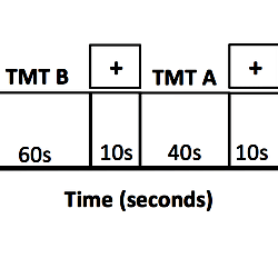 Task design for one run of fMRI time series data collection in this study.