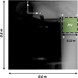 The large image shows the kinematic camera field of view and the small ...