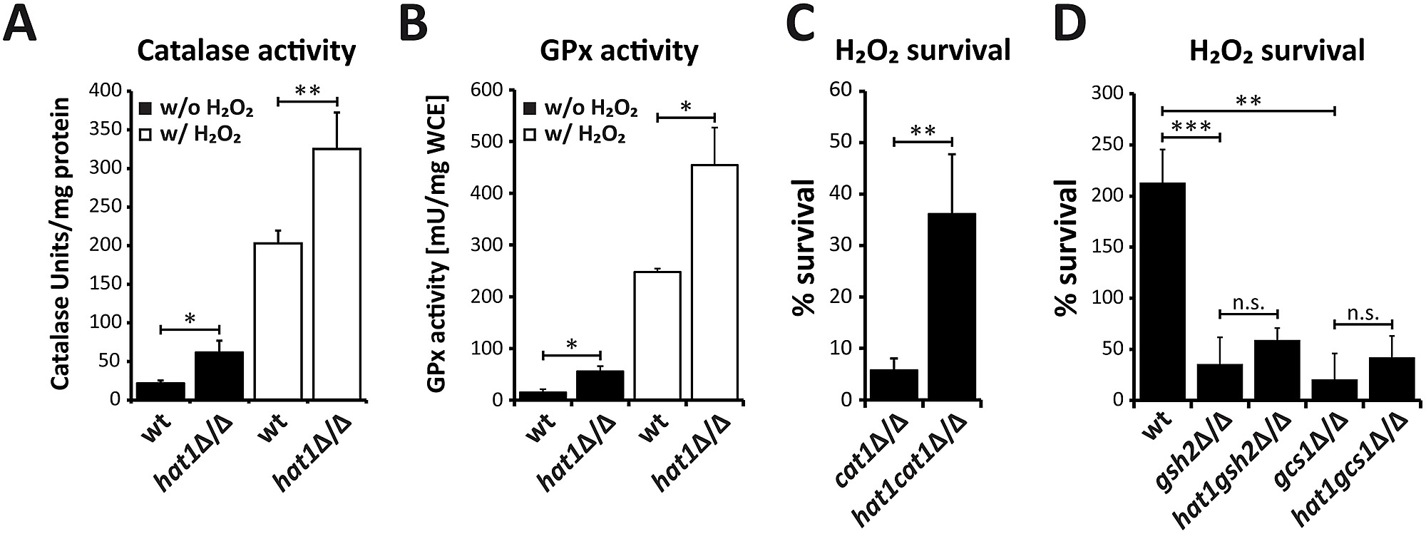 Item - Loss of Hat1 raises antioxidant enzyme activity and glutathione-mediated H2O2 resistance. - Public Library of Science - Figshare Item - Loss of Hat1 raises antioxidant enzyme activity and glutathione-mediated H2O2 resistance. - Public Library of Science - Figshare