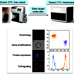 Image of the CTC detection system.