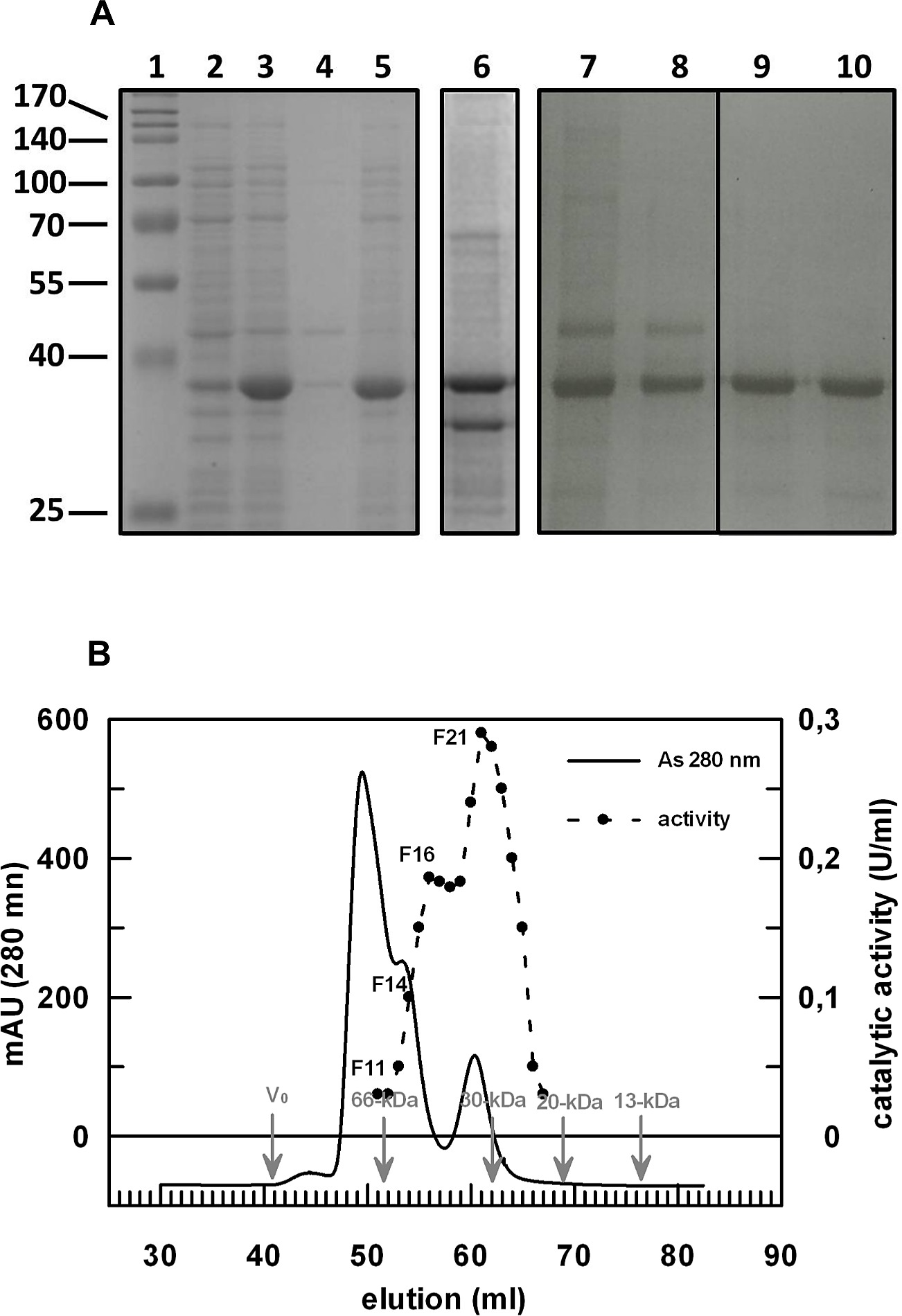 Pon2 Purification Analysis By Sds Page A And Size Exclusion Step On Superdex G 75 Column B